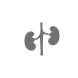 Urology